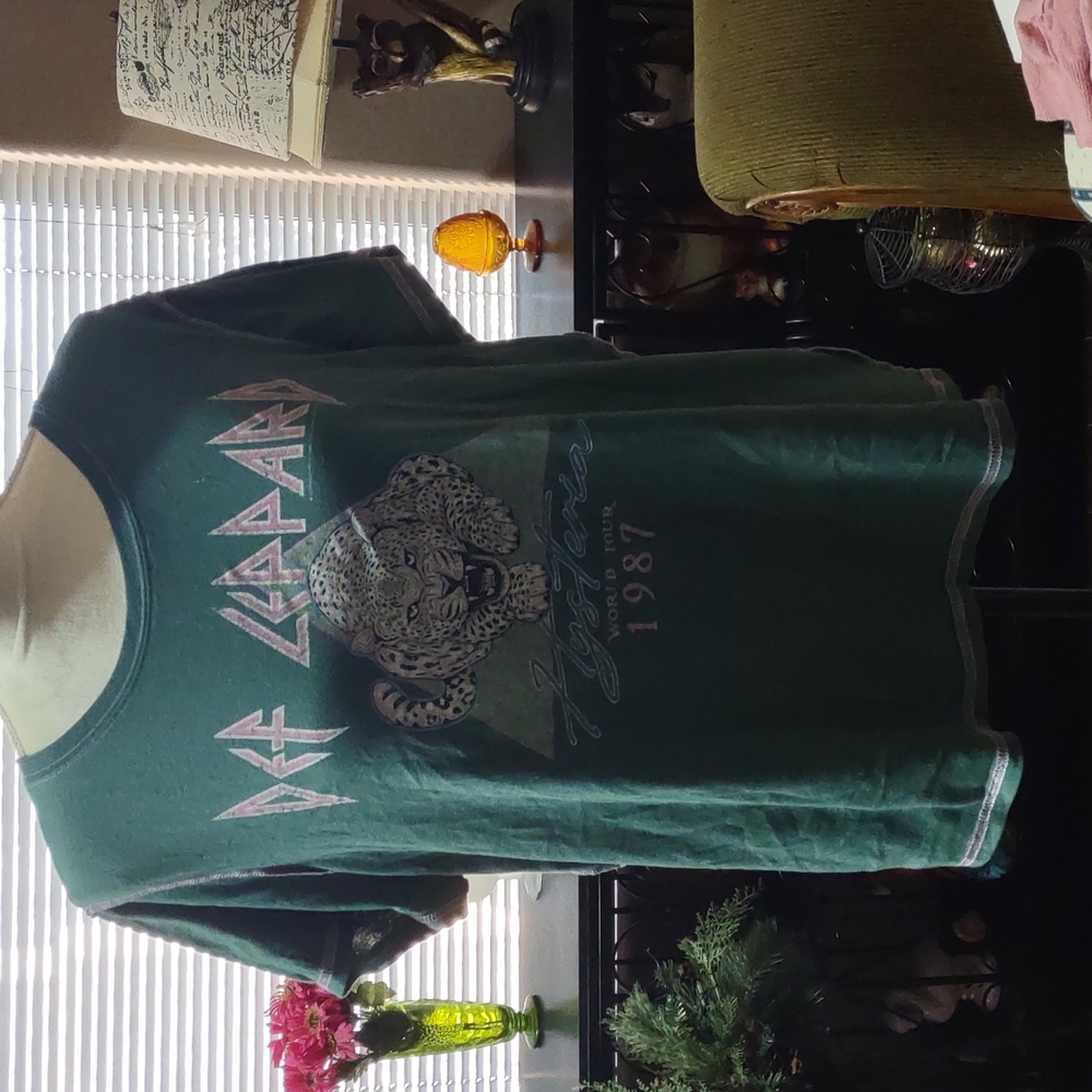 Torrid band shirt